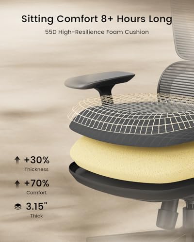 Herman Miller Embody Logitech chair