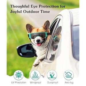 Dog Goggles Small Breed, UV Protection Dog Sunglasses with Adjustable Strap, Windproof Dustproof Anti-Fog Dog Eye Protection Sunglasses for Small Dogs Outdoor Driving Riding, Black & Blue Dog Goggles Small Breed, UV Protection Dog Sunglasses with Adjustable Strap, Windproof Dustproof Anti-Fog Dog Eye Protection Sunglasses for Small Dogs Outdoor Driving Riding, Black & Blue