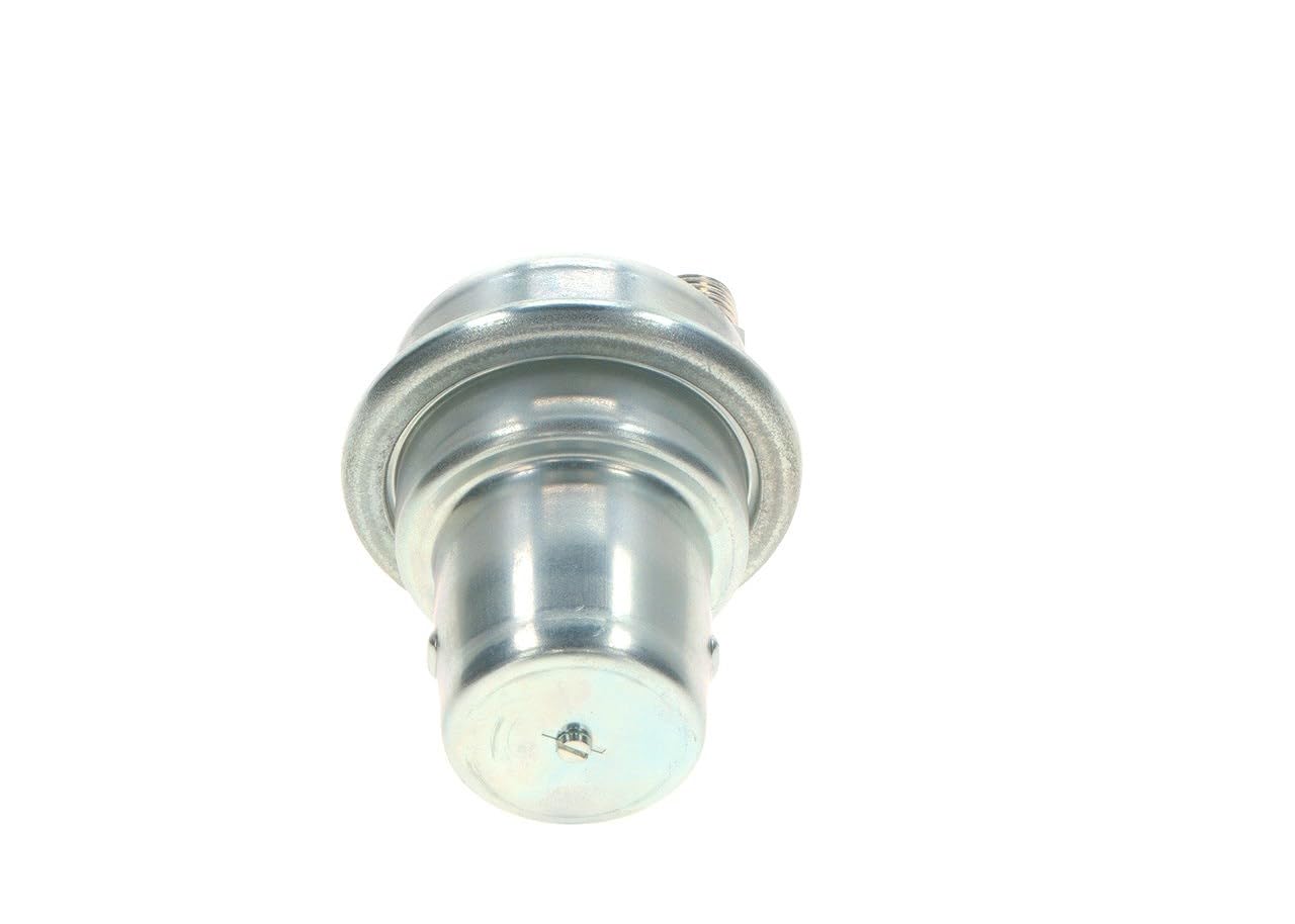 BOSCH Accumulateur de pression, pression de carburant 0438170061 Compatible avec: AUDI 100 C3 Avant, 100 C3 Stufenheck, 100 C4 Avant, 100 C4 Stufenheck, 200 C3 Avant, 200 C3 Stufenheck