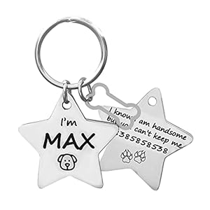 Jypr Customized Pet ID Tag Personalize Black Engraved Name Collar Tag for Your Loving Pet Dog, Cat, Puppy, Horse (Star Shape 2 MM Thick Tag and Tiny Star Charm)