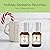 Holiday Desserts Good Essential Fragrance Oil Set (Pack of 10) 5ml Set - Peppermint, Apple Cinnamon, Hot Chocolate, Cherry, Pumpkin Pie, Candy Cane, Gingerbread, Snickerdoodle, Cinnamon, Brown Sugar