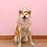 Cat Dog Princess Costumes Puppy Cat Birthday Bandana Scarf and Party Hat Cute Lace Dog Bib Scarf and Christmas Hat Doggy Birthday Party Decorations Set - Image 3