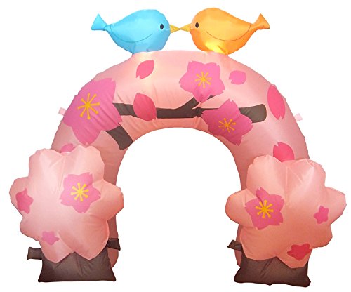 GAfBXvC A[` 80cm 76cm ACd