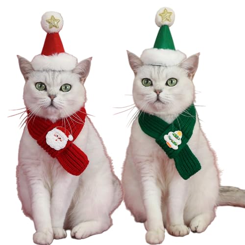  L NX}X RXvRX`[ T^Xq jbg}t[ 2_Zbg ybgp  T^N[X NX}Xc[ 킢 蕨  Be  ^ ^ Lp v[g (bh, M)