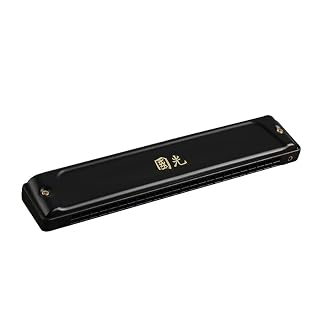 Harmonica Vibrato harmonica Zodiac harpe 24 trous orgue professionnel instrument clé C noir - Les Beatles, Paul McCartney, John Lennon, RIngo Starr, George Harrison Harmonica Vibrato harmonica Zodiac harpe 24 trous orgue professionnel instrument clé C noir – Image 2