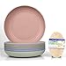 JSYMJSY Camping Teller - 25cm Teller Set für Picknick Party BBQ Salat Pasta Dessert - 6er Plastik Speiseteller Mehrweg, Leicht Essteller Kunststoff, Mikrowellenfest Spülmaschinenfest BPA-Frei (Bunt)