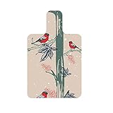 CAQYPVH Portable Cover for Pilates Reformer with Sweat Absorption, Style A