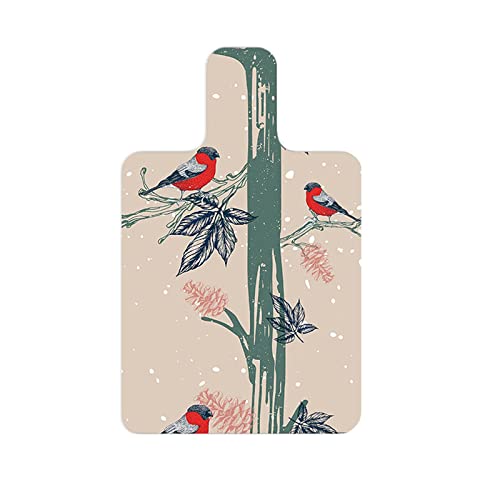 CAQYPVH Portable Cover for Pilates Reformer with Sweat Absorption, Style A