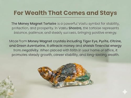 Image of Pack of 2 Natural Money Magnet Tortoise 2.7x1 Inch |Citrine Tiger Eye Green Aventurine Pyrite Turtle | Vastu Feng Shui Idol for Wealth Good Luck Home Office Decor | Housewarming Gift