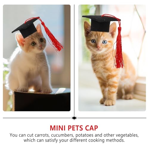 Gorrito de Graduación para Mascotas Mini 4 piezas miniatura 7