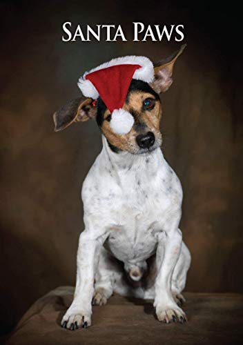 Biglietto di Natale, a forma di cane Jack Russell