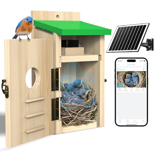 LuminiCam Bird House with Camera Solar Powered Wi-Fi Motion Detection & Night Vision Pine Wood Birdhouse with Camera Inside Ideal for Backyard & Nature Lovers(Light Green)