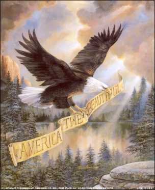 Eagle America Beautiful Paper Tole 3D Decoupage Craft Kit Size 16x20 18987