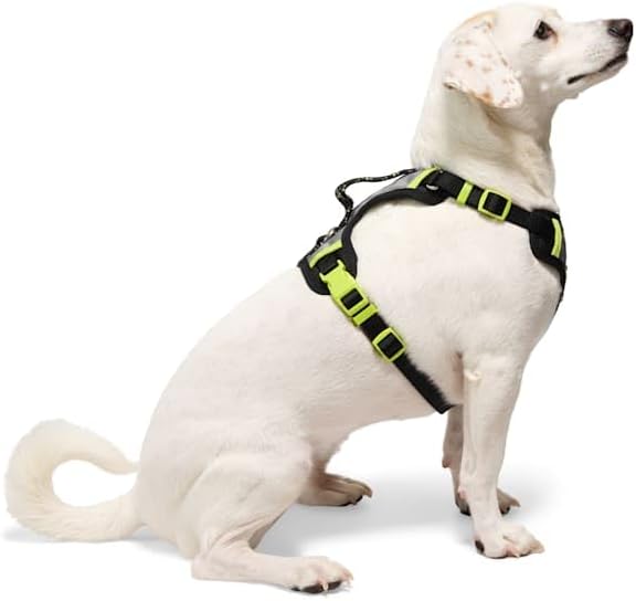 YOULY by Petco Adventure Reflective Dog Harness Black Large