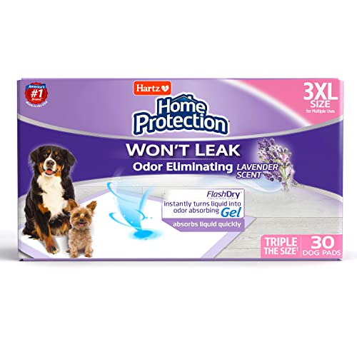 Top 10 Best New Puppy Pads of 2023