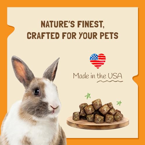 DOC EDDIE'S Vitamin C Bites Soft & Chewy Treats for Hamster, Rabbit, Chinchilla, Bunny, Gerbil, Mouse, Rat, Hedgehog, Squirrel, & Guinea Pig Friendly - Made w/Real Fruit & Organic, New & Tastier - Image 4