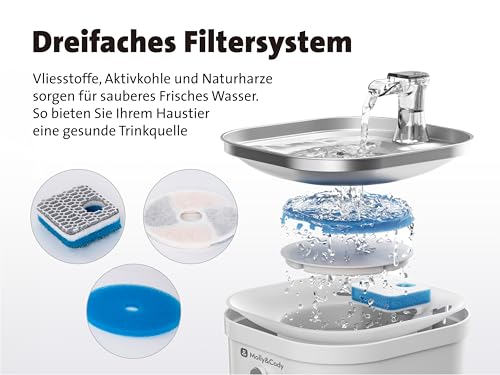 Molly&Cody Spring Trinkbrunnen für Katzen & Hunde (2L Wasserkapazität, automatischer Wasserspender, Ultra leise Wasserpumpe, sichtbare Wasserstandanzeige, 3-faches Filtersystem, kompakt, Edelstahl)