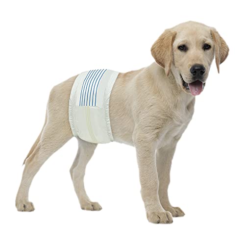 Image of BV Dog Diapers Male Medium (Waist 13-23in) Super Absorbent - 50 Count Disposable - Doggie Diapers with Wetness Indicator - Adjustable Male Dog Wraps - Ideal for Incontinence /Training