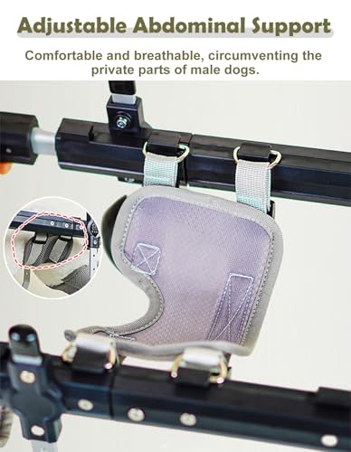 Silla de ruedas para perros ajustable para devolver la felicidad a tu mascota 6