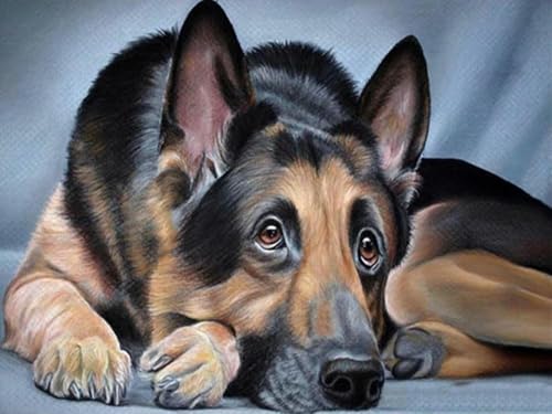 Kit de punto de cruz para adultos de 11 ct, bordado para principiantes, bricolaje, avanzado, hecho a mano, animal, perro pastor,40X50CM