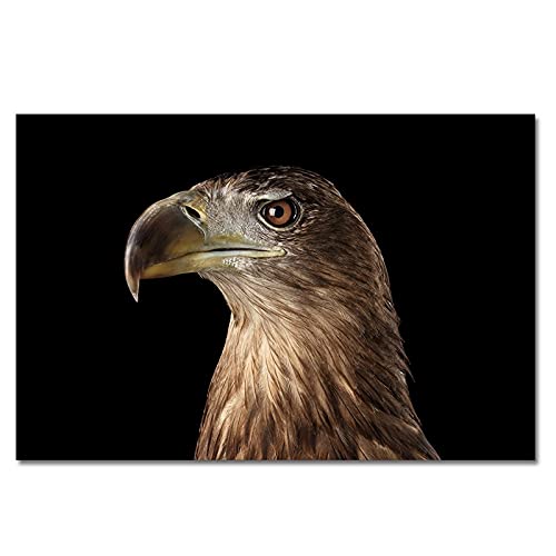 Diamond Painting Complet Aigle en cristal strass broderie haut de gamme pour art crafts 5D