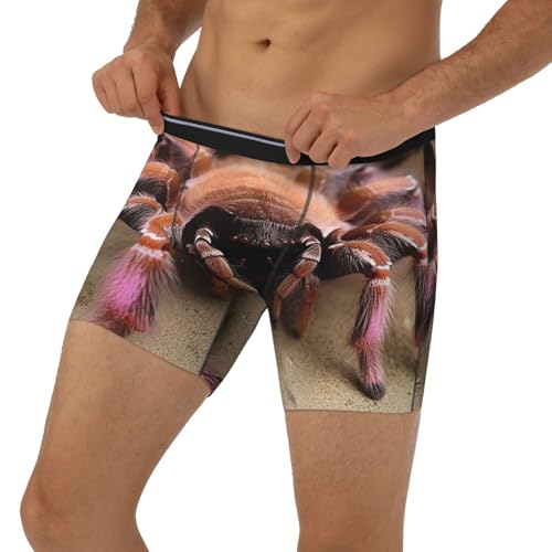 Mens Boxer Briefs Soft Breathable Breathable Stretch Boxer Briefs Mens Boxer Briefs Large Mexican Tarantula Men3