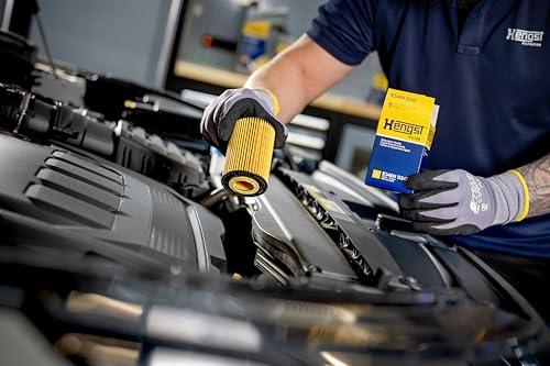 Set Di Filtri Idraulici, Cambio Automatico Hengst Filter EG1176H D738 - 3