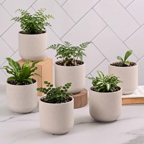 Image of Eha Earth-Friendly Terrapod Planters for Home Decor | 3.5 Inch, Pack of 6 | Small Plant Pot Made with Rice Husk Biocomposite | Flower Pot for Living Room | Sand Castle