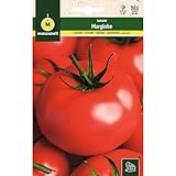 Mascarell Semillas, TOMATE, Semillas Huerto, TOMATE MARGLOBE, Crea tu Propio Huerto Urbano y Cultivo en Casa, Plantas Hortícolas, 1 Gramos