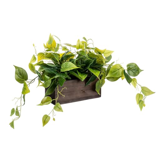 MyGift Vibrant Lifelike Artificial Plant Pothos Leafy Vine Greenery in Burnt Brown Solid Wood Rectangular Planter Box
