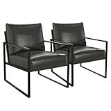 Phoenix Home PU Leather Accent Chair Set of 2, Leisure Metal Framed Armchair with Extra Soft Padded and Cushion, 105 Degree Slant Back, Modern Reading Arm Chair for Living Room/Office/Bedroom, Black