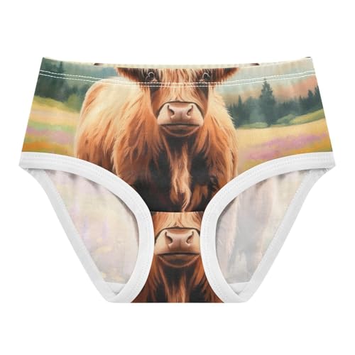 Brown Highland Cow Girl Panties Cute Toddler Girls Underwear Cotton Fun Underpants Briefs 2t