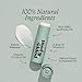 Poppy & Pout Lip Care Set | Lip Balm & Scrub | Sustainable Cardboard Tubes & Glass Jars, All Natural, Beeswax, Coconut Oil, Cruelty Free, Exfoliating & Moisturizing Lip Treatment (Sweet Mint)