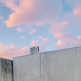 YDIJVNT Records