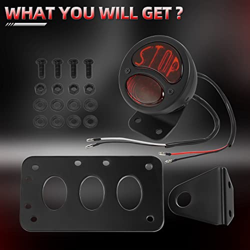 Image of Amazicha Motorcycle 3 /4 inch Axle Hole Side Mount License Plate Bracket LED Brake Tail Light Compatible for Harley Davidson Sporster Bobber Chopper cafe
