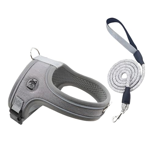 [Aishaba]yybgn[lXzʋC ^^p Upn[lXyyʐ݌vzEh~ňSo KtBbg 3J[