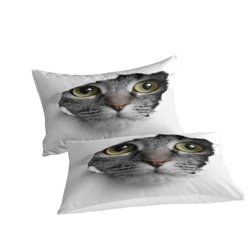 Parure de lit chat 3D microfibre de qualité supérieure king size ultra douce - 5
