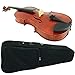 D'Luca PDZ02-14 14-Inch Orchestral Series Viola Outfit
