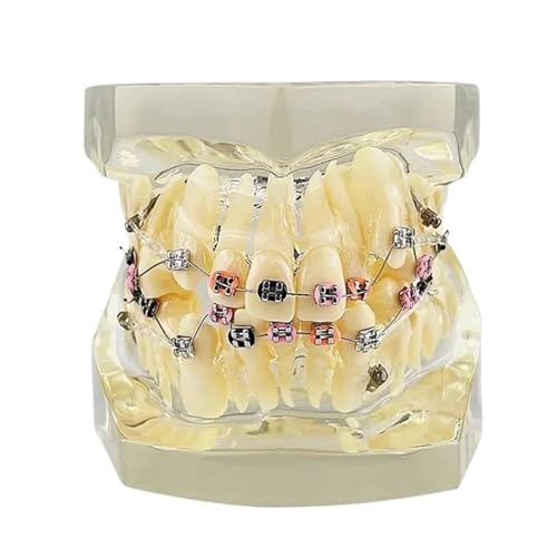 ȎÎf猤uPbgA[`C[F^CfeBX(1 piece H)