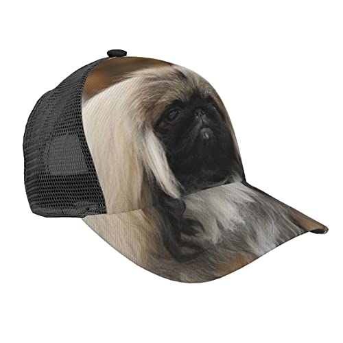 Regolabile: la parte posteriore del cappello stampato del cane pechinese presenta un design con fibbia regolabile che consente di regolare liberamente la dimensione della circonferenza del cappello a proprio piacimento, assicurando di mantenere sempre il massimo comfort e sicurezza con un forte senso di praticità.