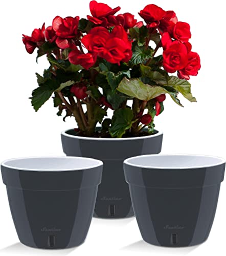 Santino ASTI 7.1 Inch Self Watering Planters (SET OF 3) for Indoor Plants