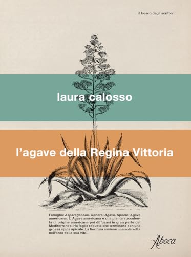 L'agave della regina Vittor