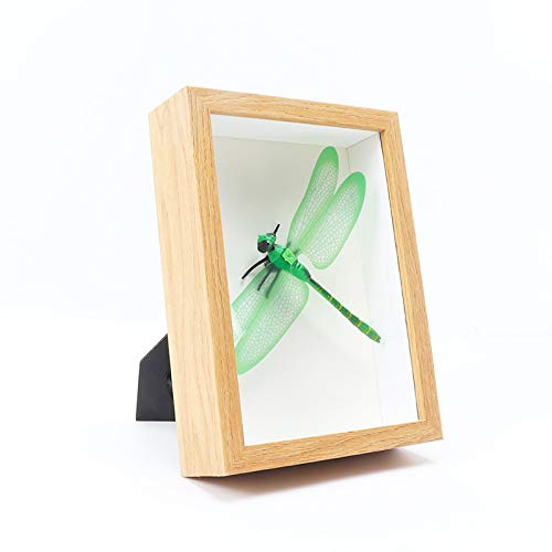 DIYzAp^[ʐ^t[3D3cm8C`i20.3 * 20.3 cmj`̊ۑ