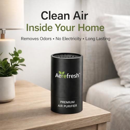 Image of Activated Charcoal Car Air Purifier | Natural Odor Remover for Car & Home | Non-Electric, Chemical-Free Air Freshener | Removes Smoke, Smell & Pollutants | Lasts 24 Months