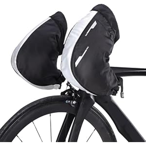 41z0zdmf+bl. sl500 . ss300