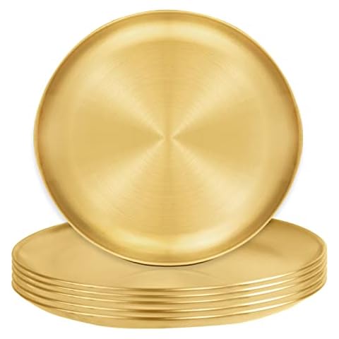 6 Piece Stainless Steel Dinner Plates Set Cover