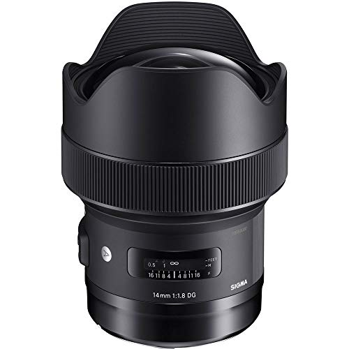 Sigma 14-24mm lens