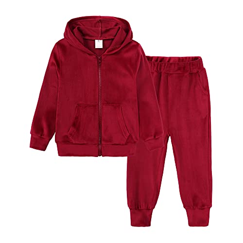 MYGBCPJS Boys Girls 2 Pcs Velvet Sweat Suit Outfits Toddler Kids Long Sleeve Pullover Hoodie + Elastic Waist Sweatpants Set