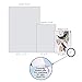 The Best Card Company, 10 Assorted Blank Bird Notes (4 x 5.12 Inch) - Boxed Vintage Illustrations All Occasion Hummingbirds Notecards Bulk Set w/Envelopes (1 of 10 Designs) - Humming Along M10034BK
