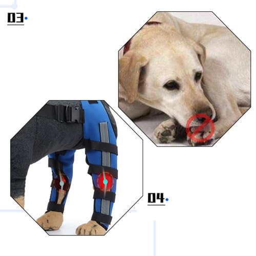 Rückenbandage für Hunde, Rückenstütze für Hunde | Hüftstütze von Pet Hock, tragbarer Wundschutz für Haustiere zur Erholung von Kleintieren
